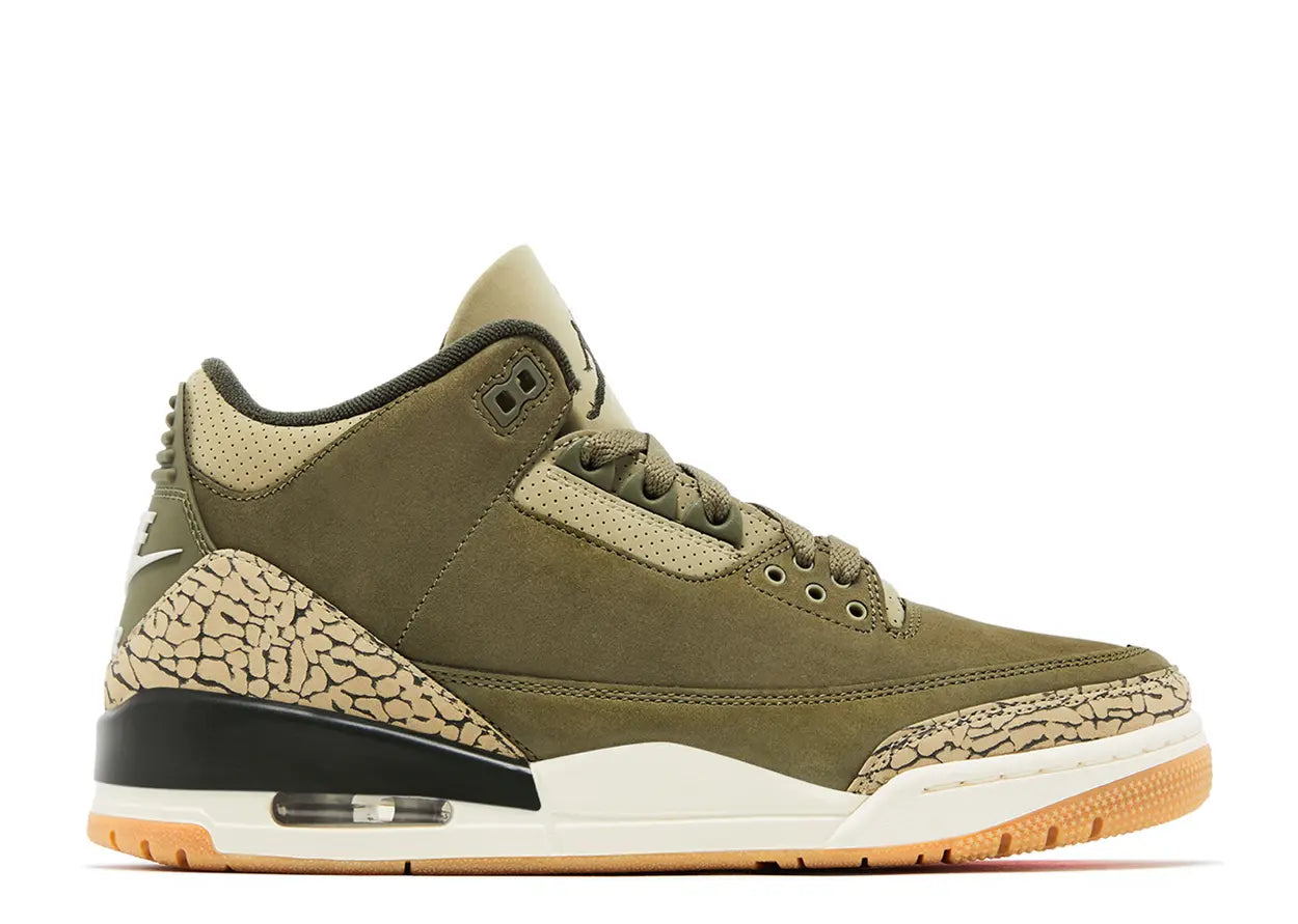 Jordan 3 Retro 'Family Affair'